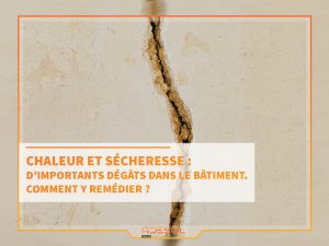 chaleur et sécheresse dégâts bâtiments solutions